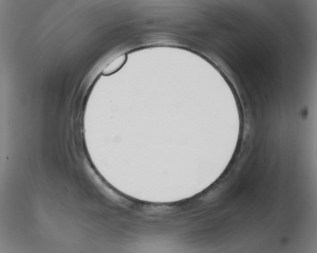 X0000115621293200912221220