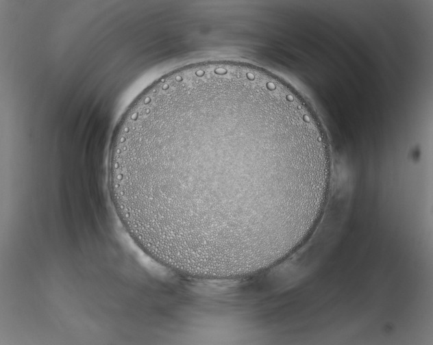 X0000115621294200912221220