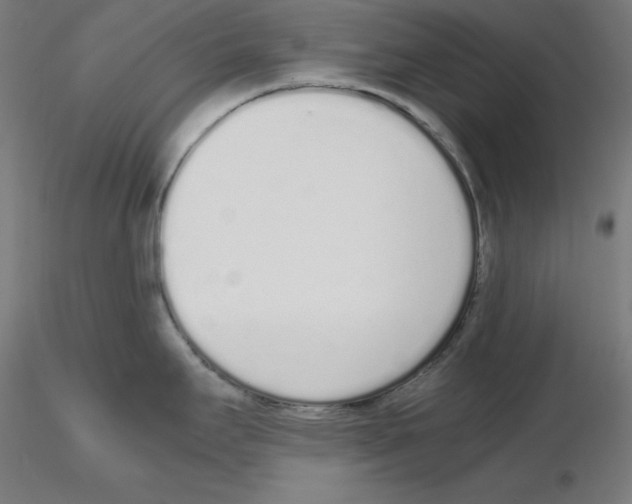 X0000115621295200912221220