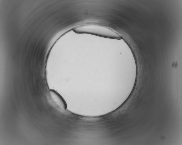 X0000115621296200912221220