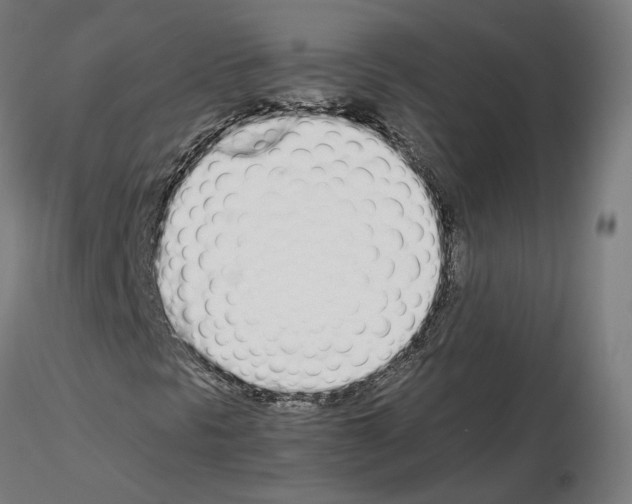 X0000115621297200912221219