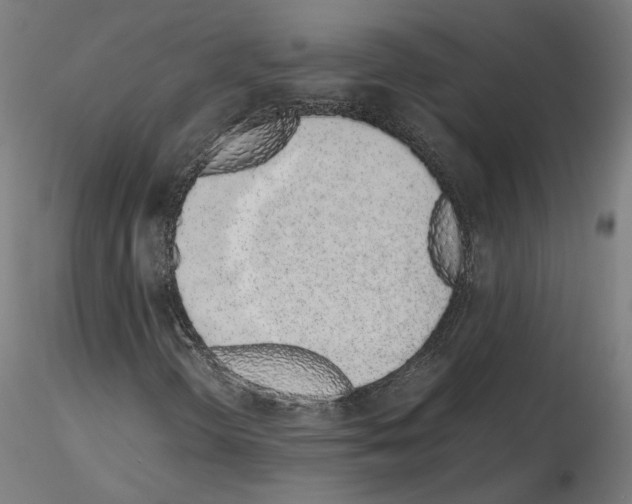 X0000115621298200912221219