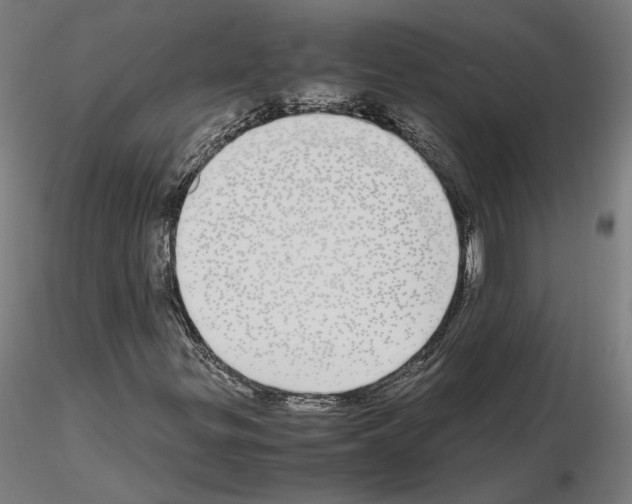 X0000115621299200912221219