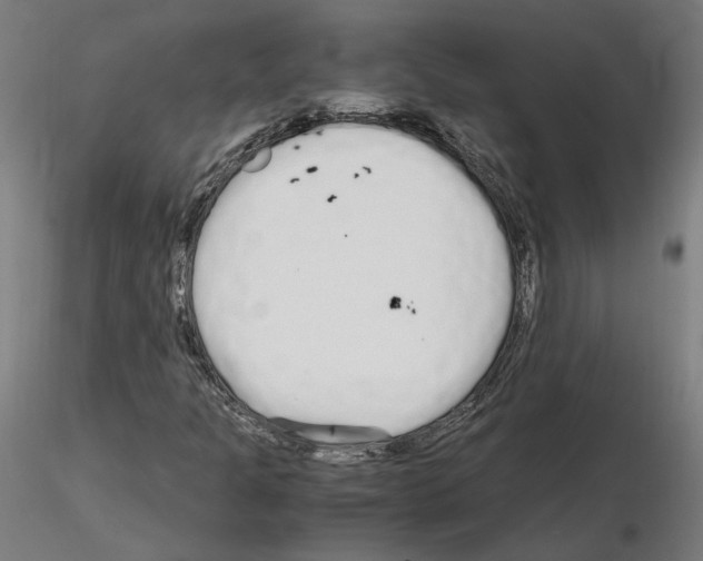 X0000115621301200912221220