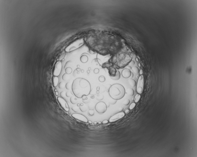 X0000115621302200912221220