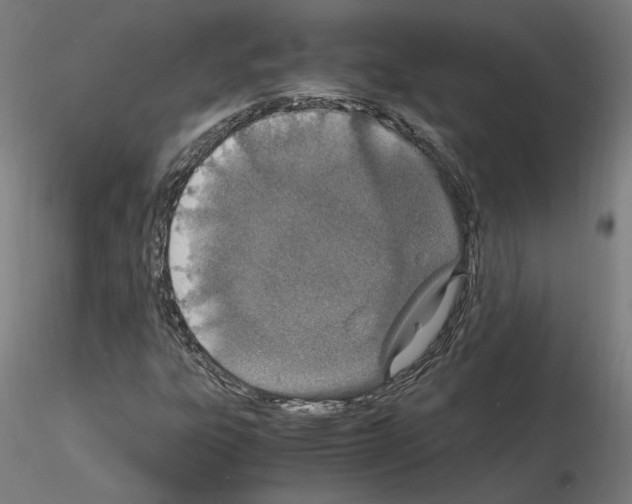 X0000115621303200912221220