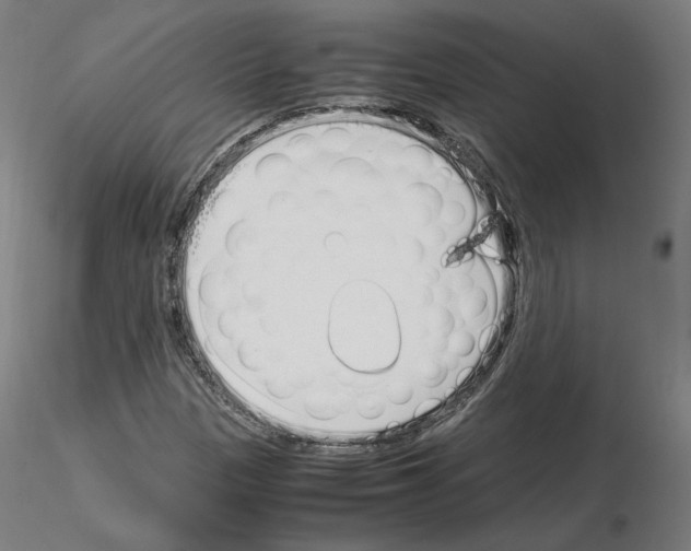 X0000115621305200912221220