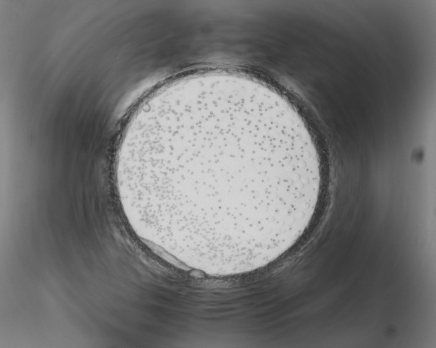 X0000115621307200912221220