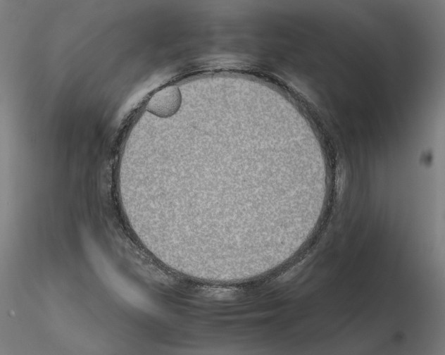 X0000115621309200912221220