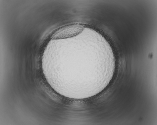 X0000115621310200912221220