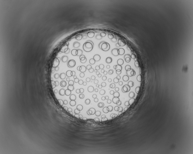 X0000115621311200912221220
