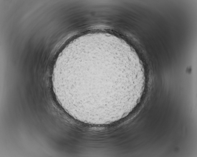 X0000115621313200912221220