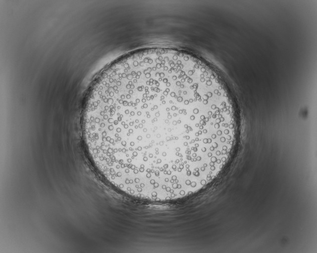 X0000115621315200912221220