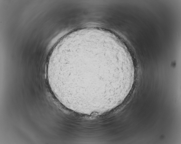 X0000115621317200912221220