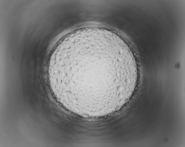 X0000115621318200912221220