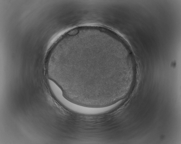 X0000115621319200912221220