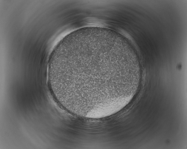 X0000115621323200912221220