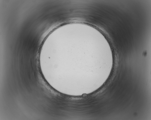 X0000115621325200912221220