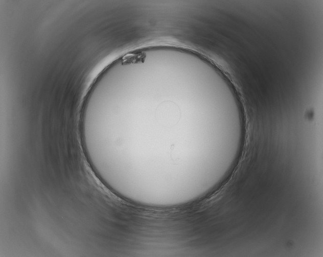 X0000115621326200912221220