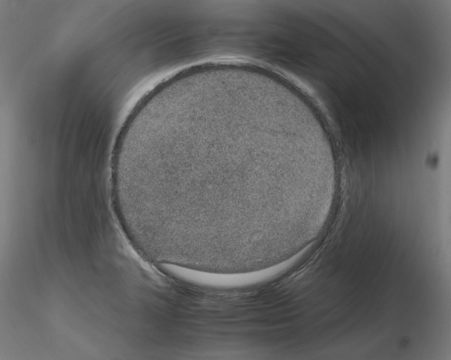 X0000115621327200912221220