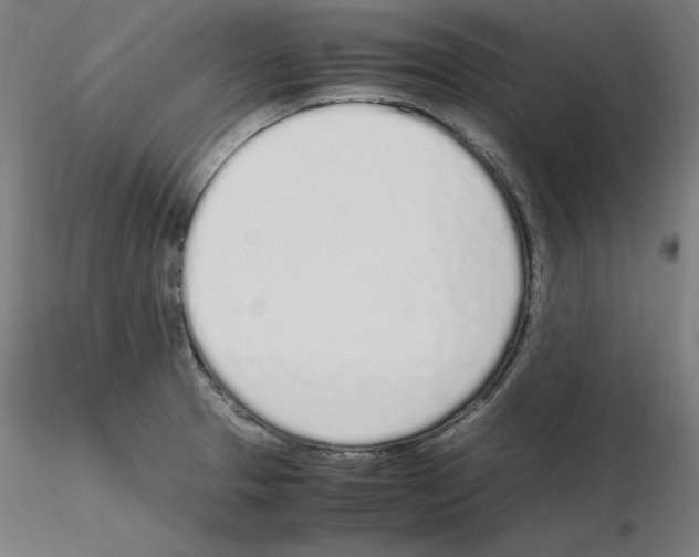 X0000115621329200912221220