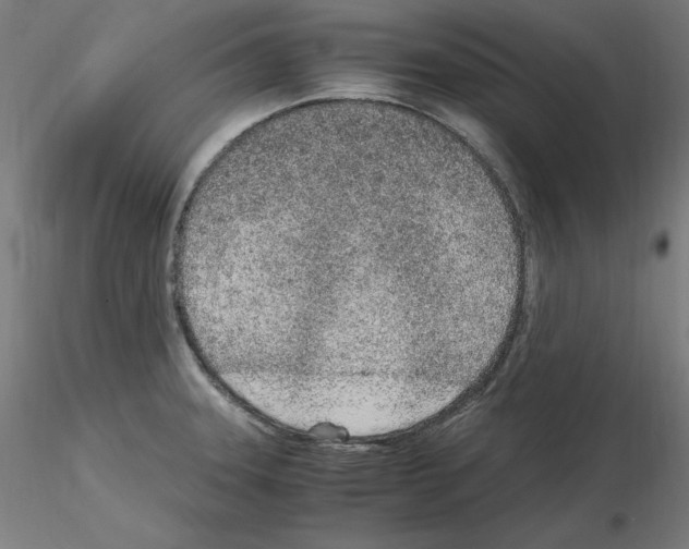 X0000115621331200912221220