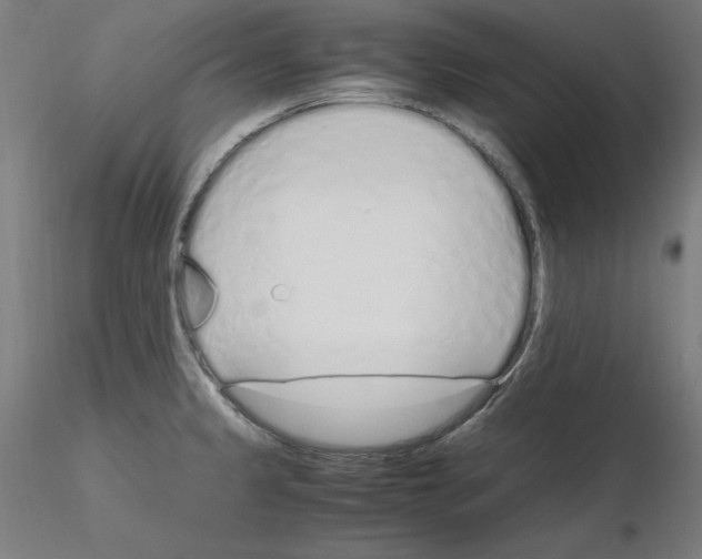 X0000115621333200912221220