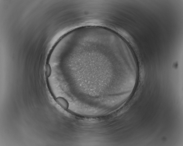 X0000115621334200912221220