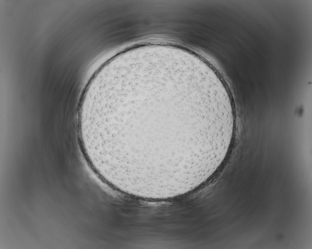X0000115621335200912221220