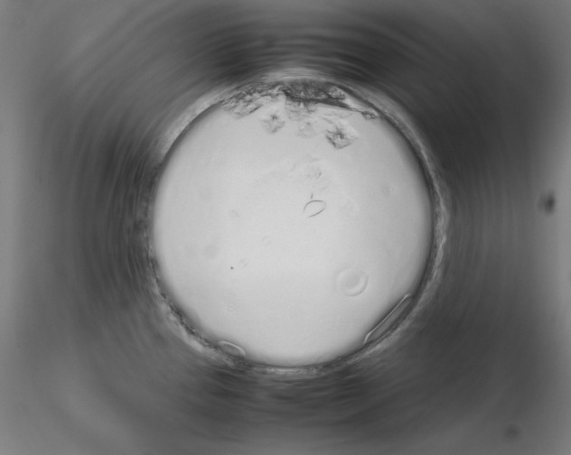 X0000115621337200912221220