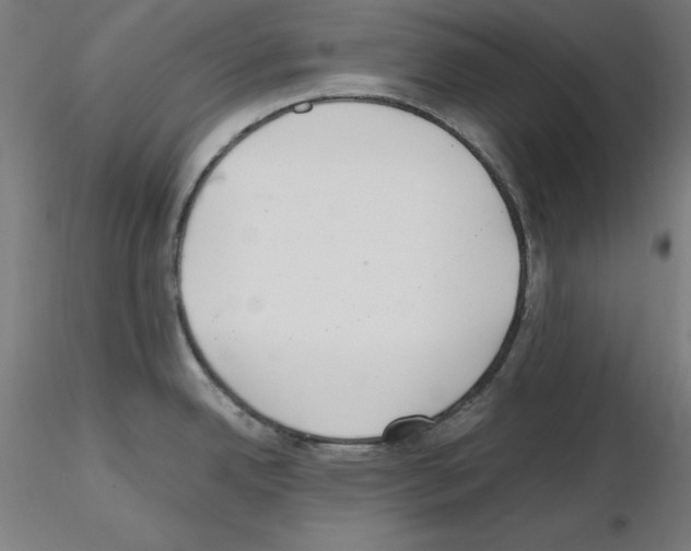 X0000115621342200912221220