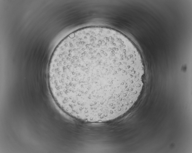 X0000115621343200912221220