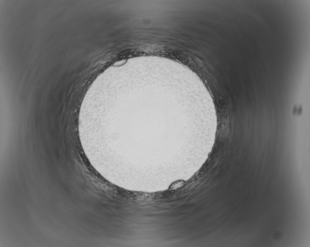X0000115621345200912221219
