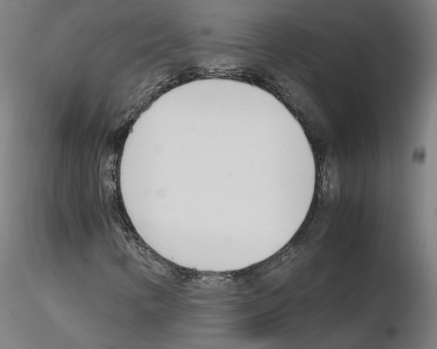 X0000115621346200912221219