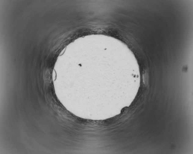 X0000115621347200912221219