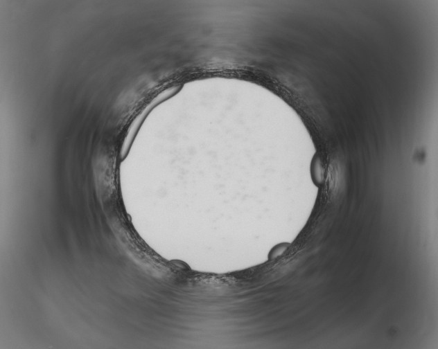 X0000115621348200912221219