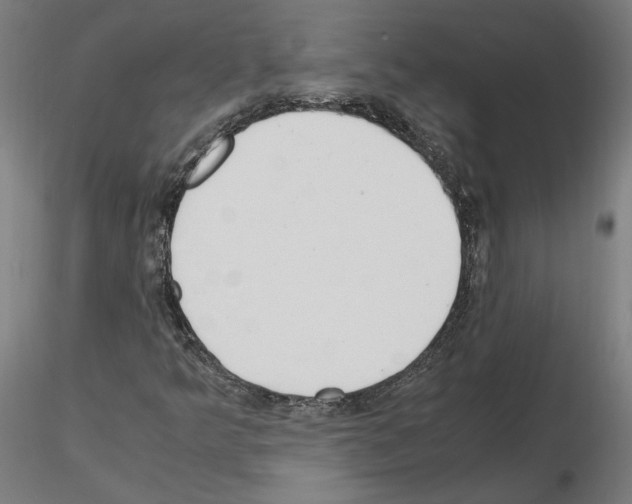 X0000115621349200912221219
