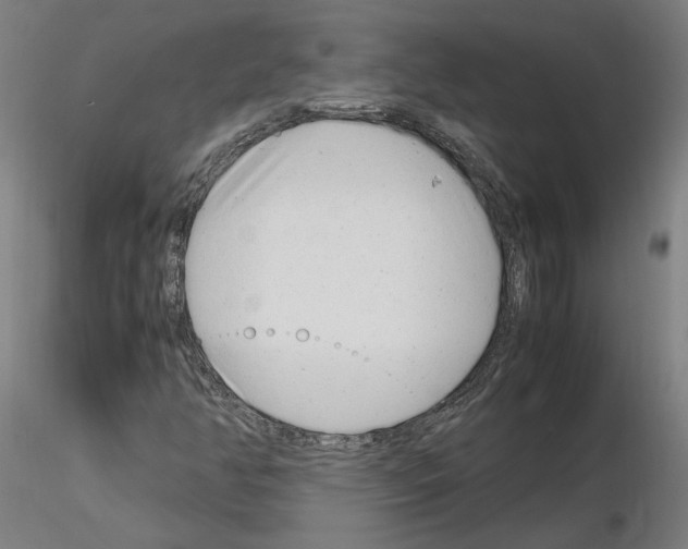 X0000115621350200912221219