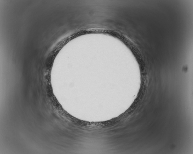 X0000115621351200912221219