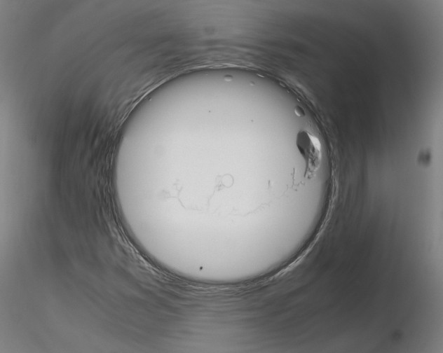 X0000115621353200912221219