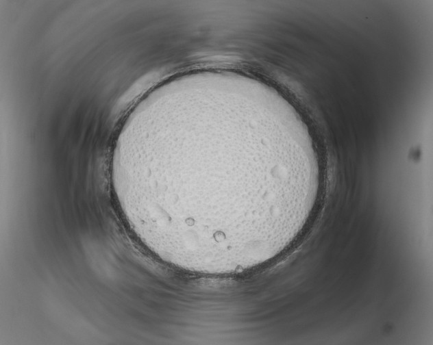 X0000115621354200912221219