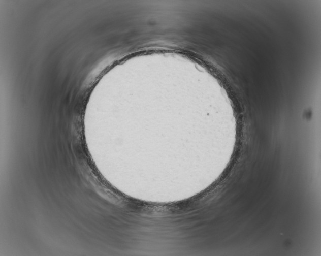 X0000115621355200912221219