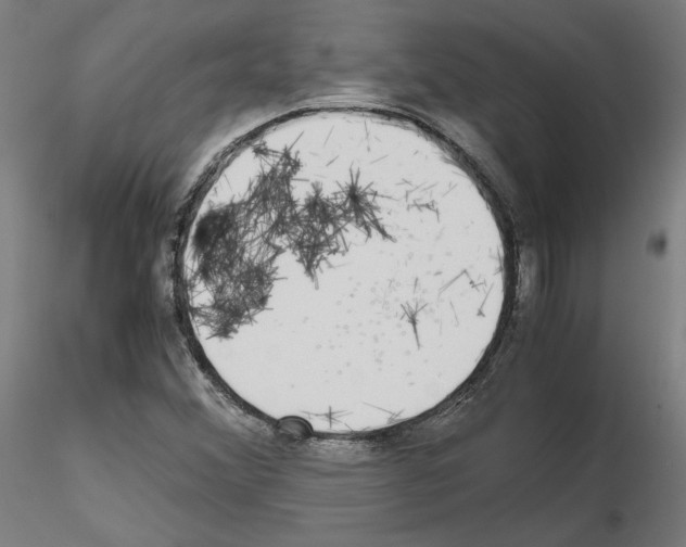 X0000115621356200912221219