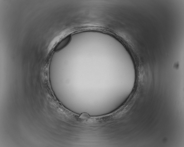 X0000115621357200912221219
