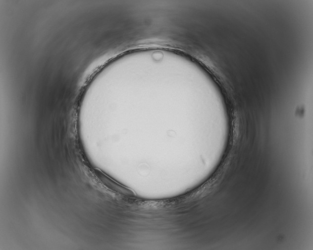X0000115621358200912221219