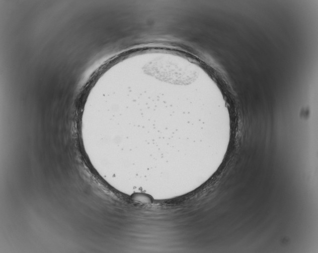 X0000115621360200912221219