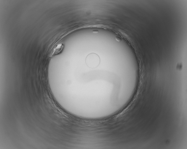 X0000115621361200912221219