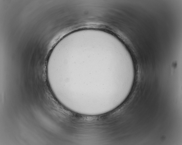 X0000115621362200912221219