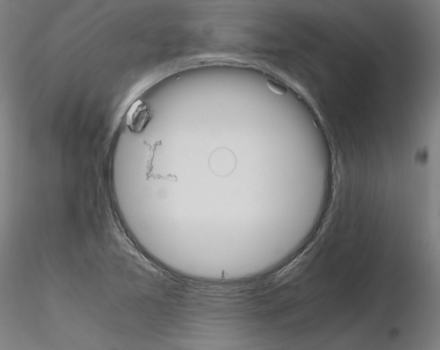 X0000115621365200912221219
