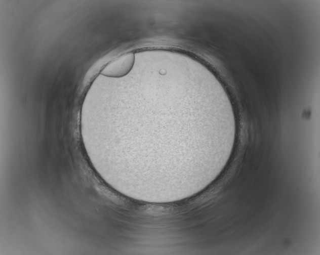 X0000115621366200912221219